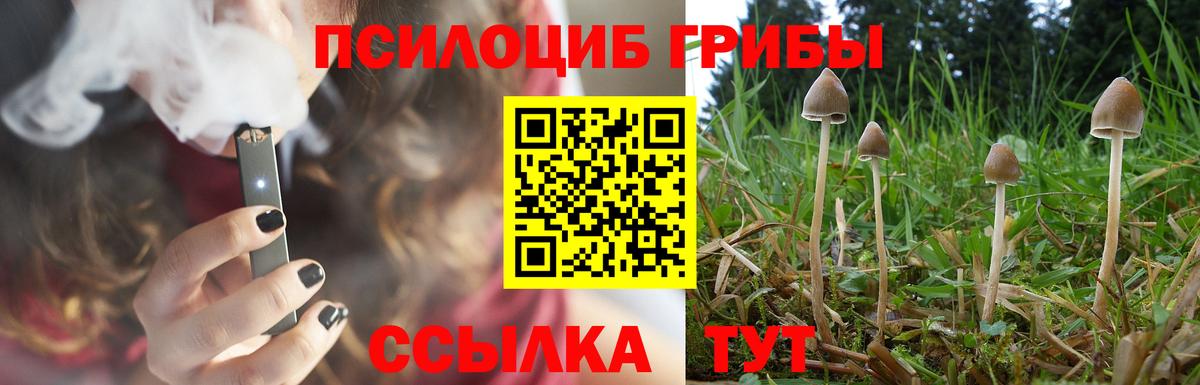 Галлюциногенные грибы Psilocybe  Галлюциногенные грибы Cubensis  Хасавюрт  закладки  Вход с VPN 