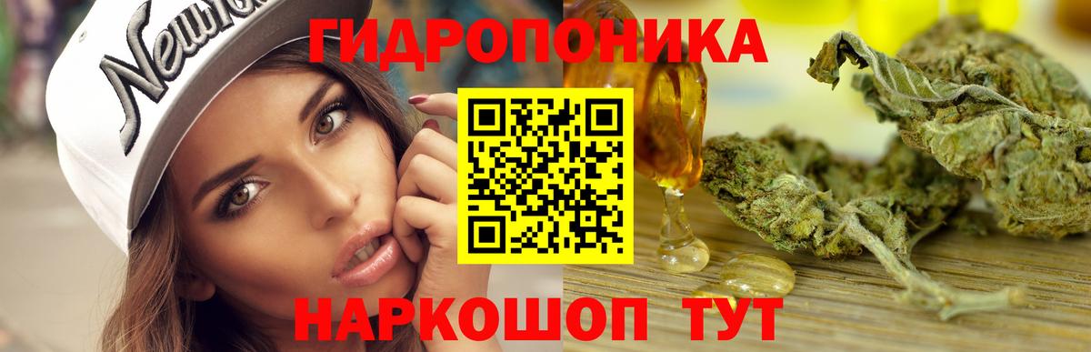 Каннабис конопля Хасавюрт